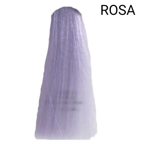 INEBRYA COLOR BIONIC ROSA 100ML (VIOLA CHIC)