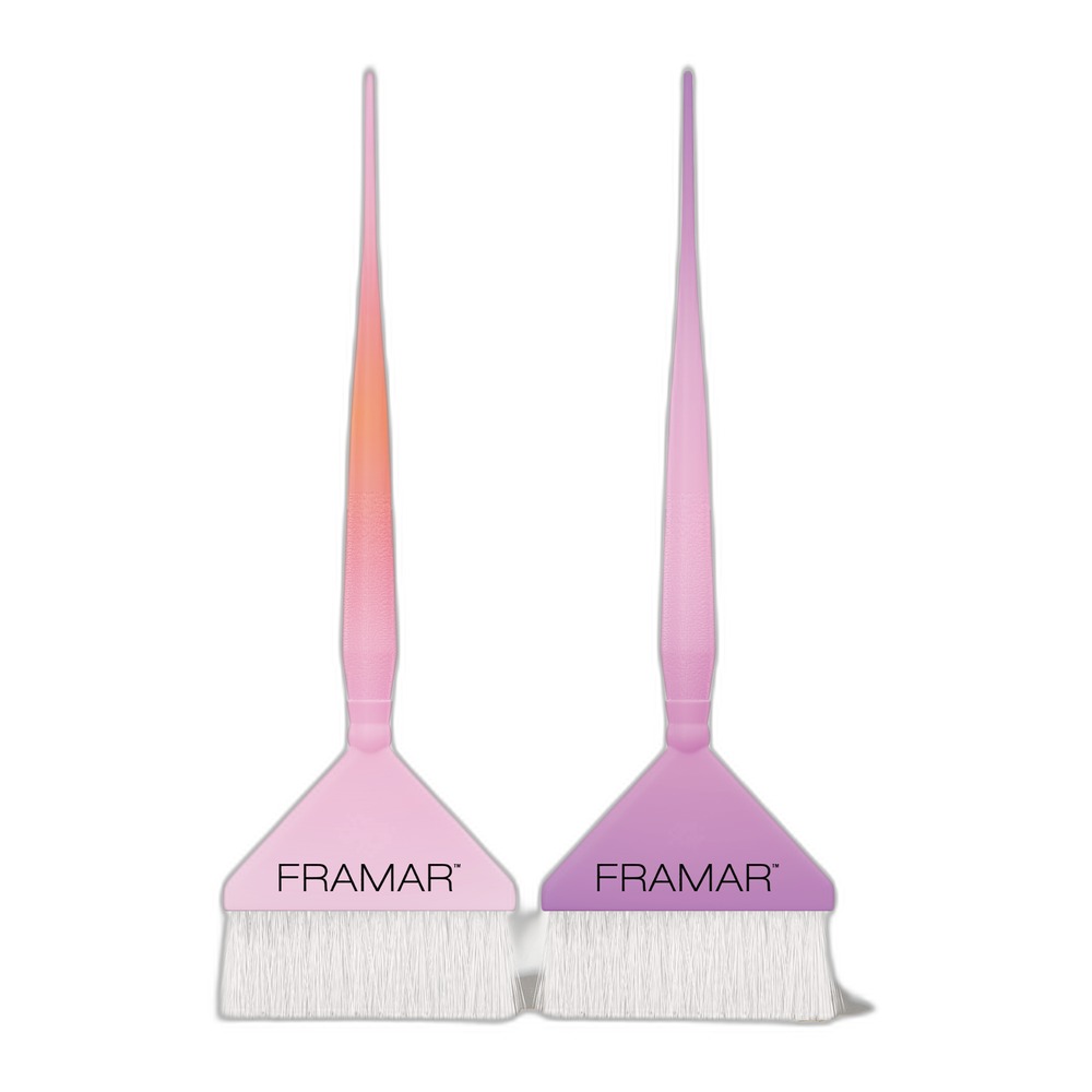 FRAMAR AURASCOPE ROOT REPAIR BRUSH SET